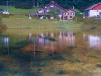 P9031330