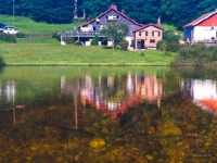 P9031334