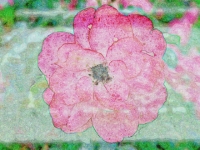 PA134285.4BSt