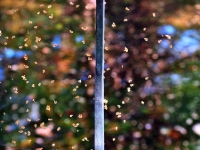 PA134289.1