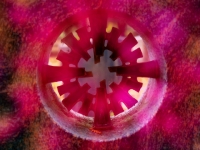 PB024563.3