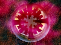 PB024564.3