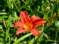 P6039656