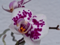 P6079728