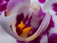 P6079739
