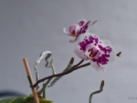 P6079743