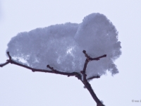 P1314664