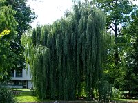 P6259913