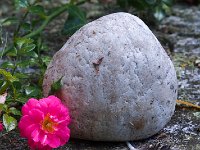 P6270065q
