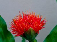 P6279989