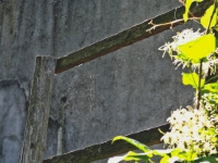 P1012440