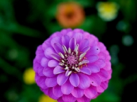P1012632