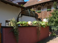 P1012768