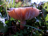 P1013451