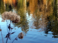 P1013460