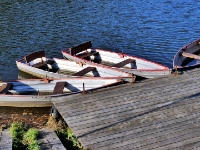 P1013481