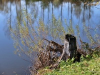 P1013533
