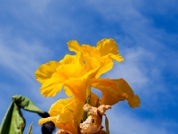 P9011015-2