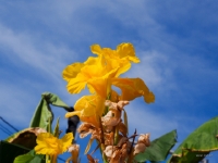 P9011015