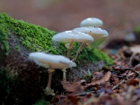 P9021123