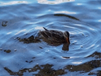 P9021181