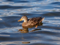 P9021188