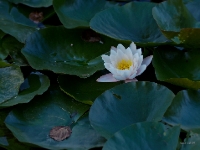 P9021206