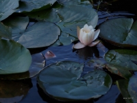P9021208