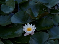 P9021210