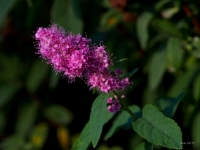 P9021212