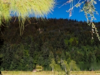 P9031225