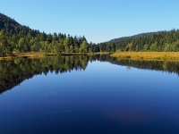 P9031229