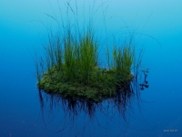 P9031235