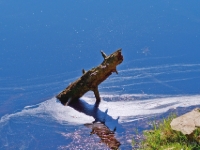 P9031257