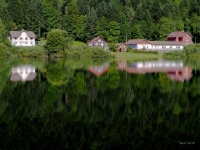 P9031340