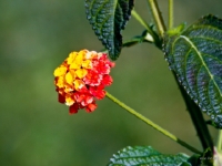 P9221435