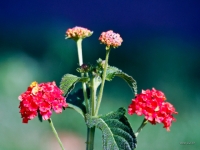 P9221438