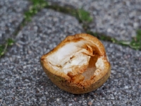 P9221458