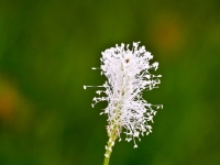 P9221461