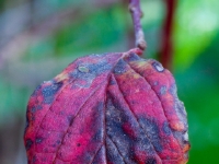 PB122398