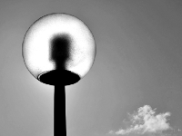 P1024184.2