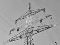 P1024186.2