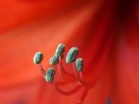 P1111667.3JPG