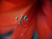 P1111667