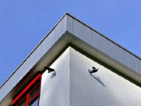 P1024234.3