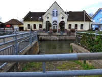 P1024264.1