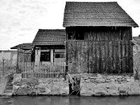 P1024267.2