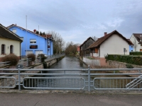 P1024272.1