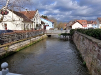 P1024299.1