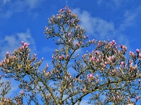 P1024326.1